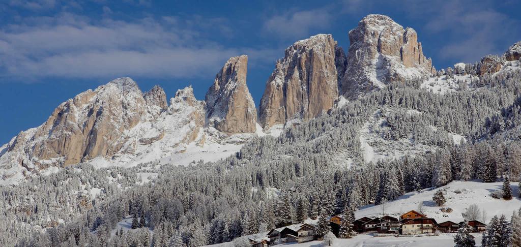 Appartamenti Ladina Campitello di Fassa Exterior foto